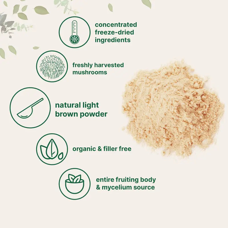 Micro Ingredients Organic Lions Mane Mushroom Supplement Powder 1Lb